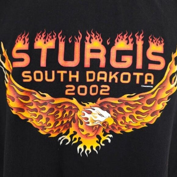 Vintage Sturgis T Shirt Mens Size Large Black Y2K 2002 Black Hills Rally - Picture 3 of 6